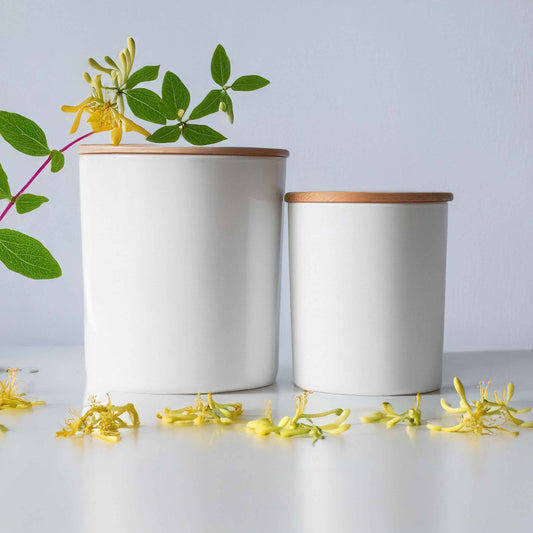 Japanese Honeysuckle